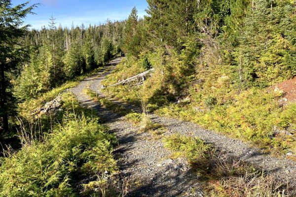 3013150 Road