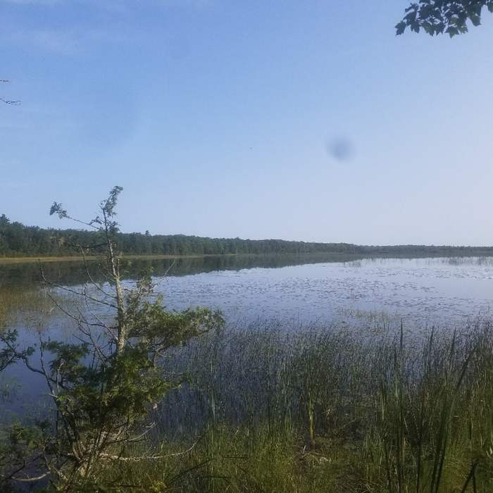 Lake view Near Marl Lake Trail System