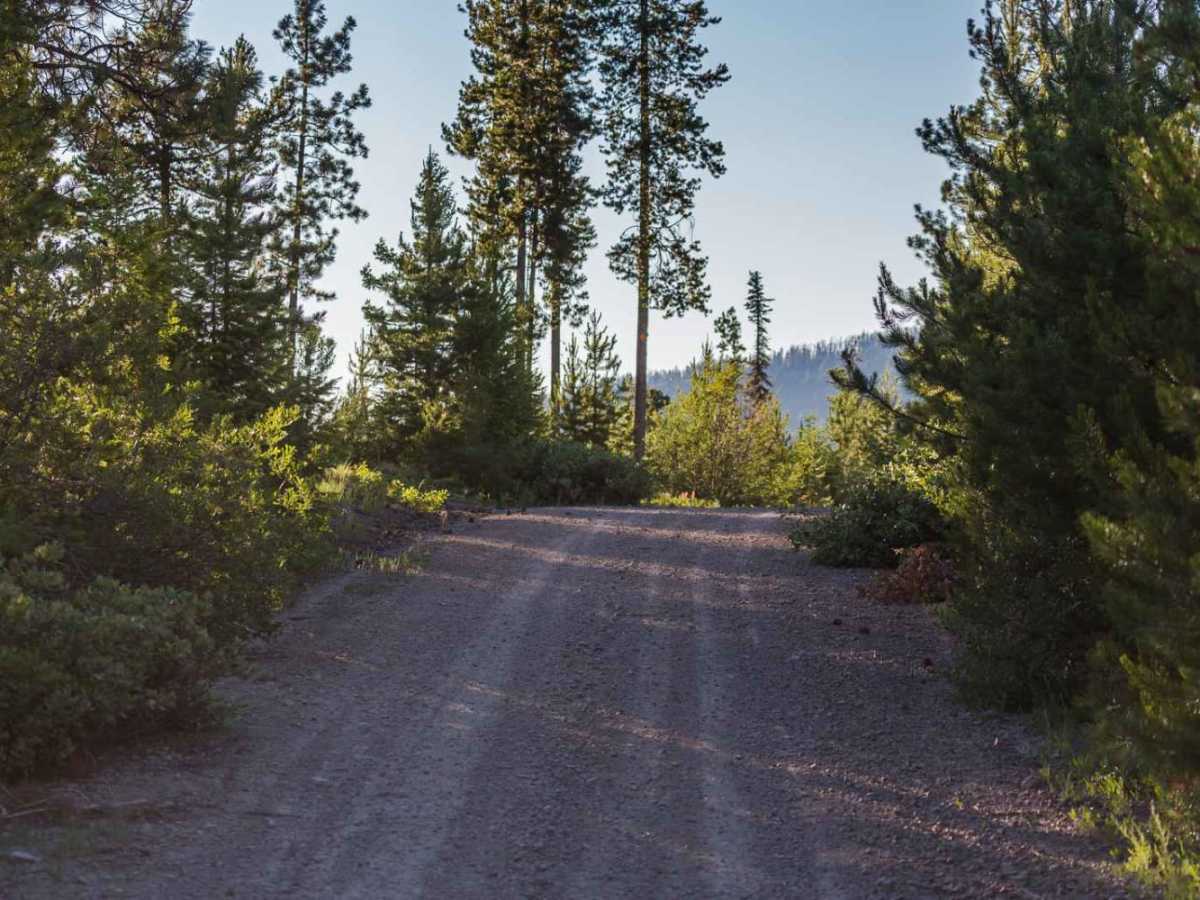 Wagon Mountain Road photo 2