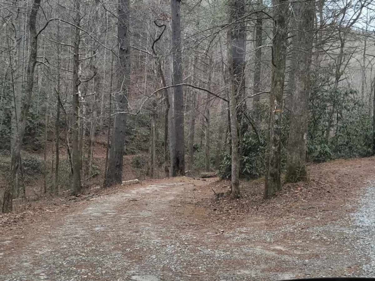 Tray Mountain Trail photo 4