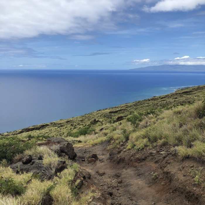 Near Lahaina Pali Trail