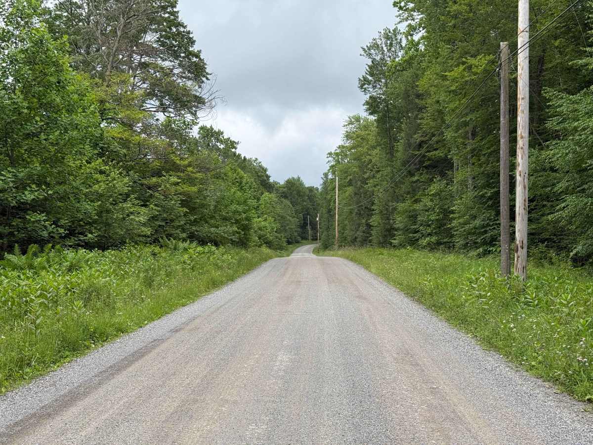 Pigs Ear - FS 322 trail photo
