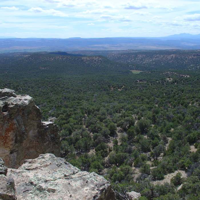 Looking west off Pinto Mesa. Near Paradox Trail