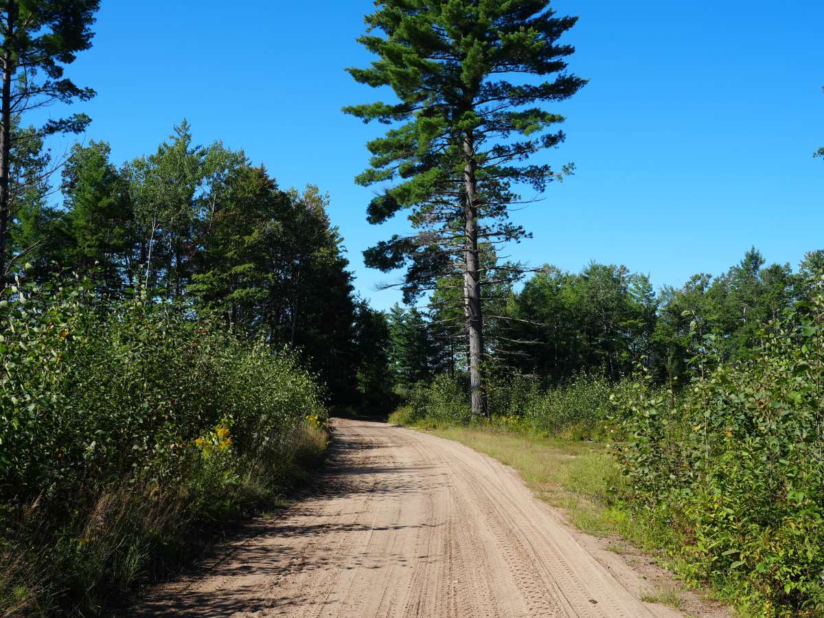 West Rollway Road trail photo
