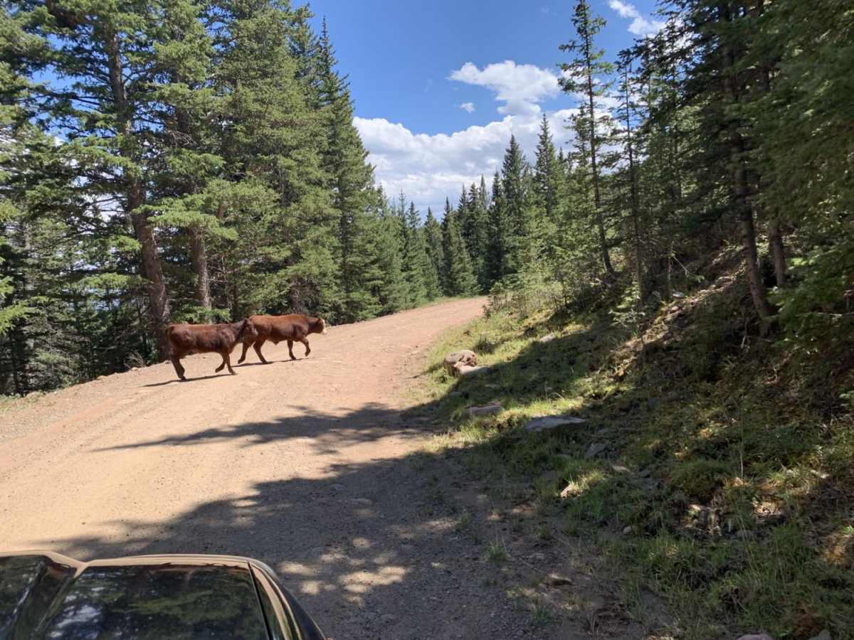Cucharas Pass photo 2