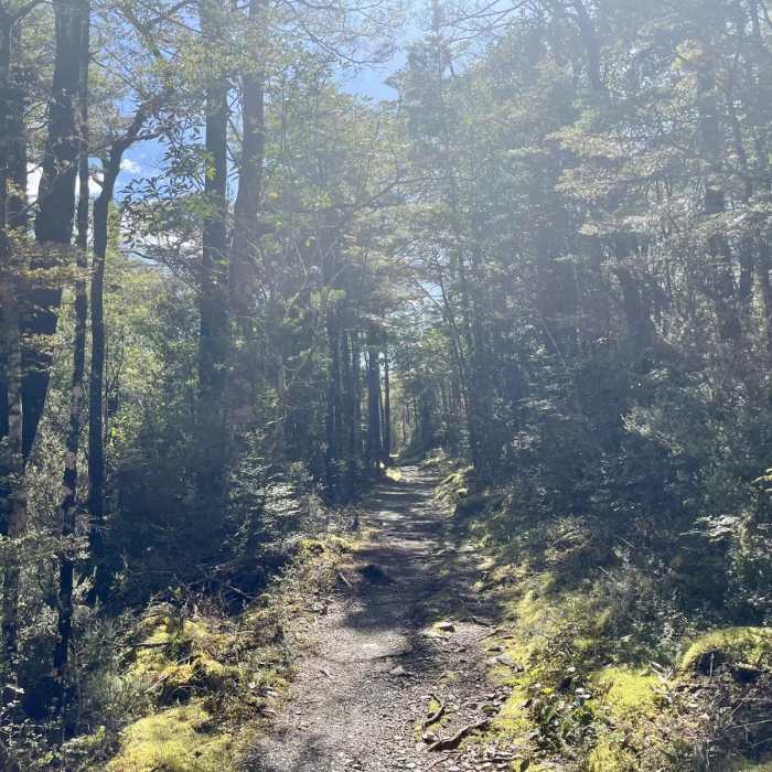 Near Brunner Peninsula Nature Walk Near Brunner Peninsula Nature Walk