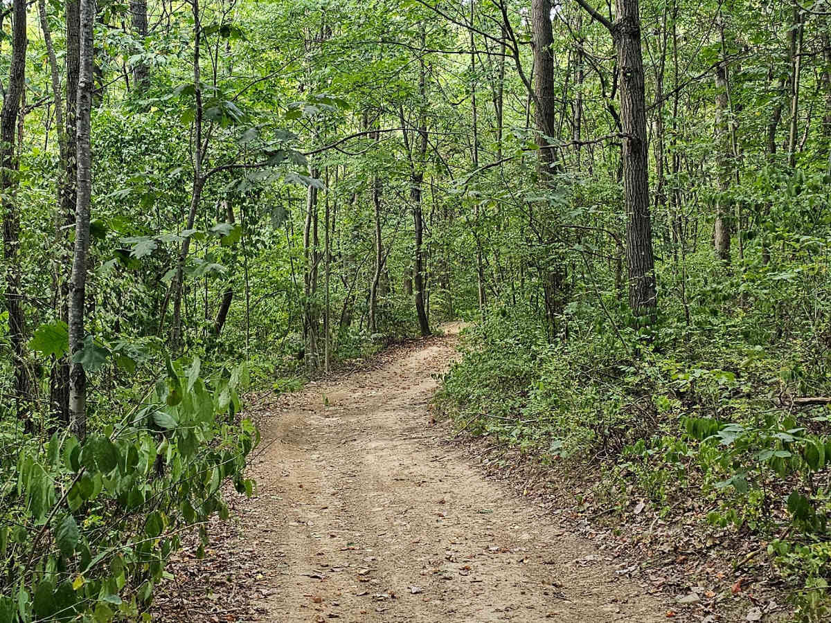 Trail 24  photo 3