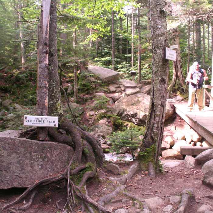 Near Old Bridle Path