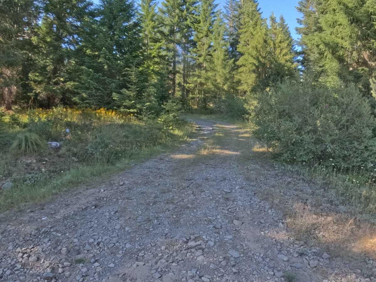 FS 2200035 photo 2