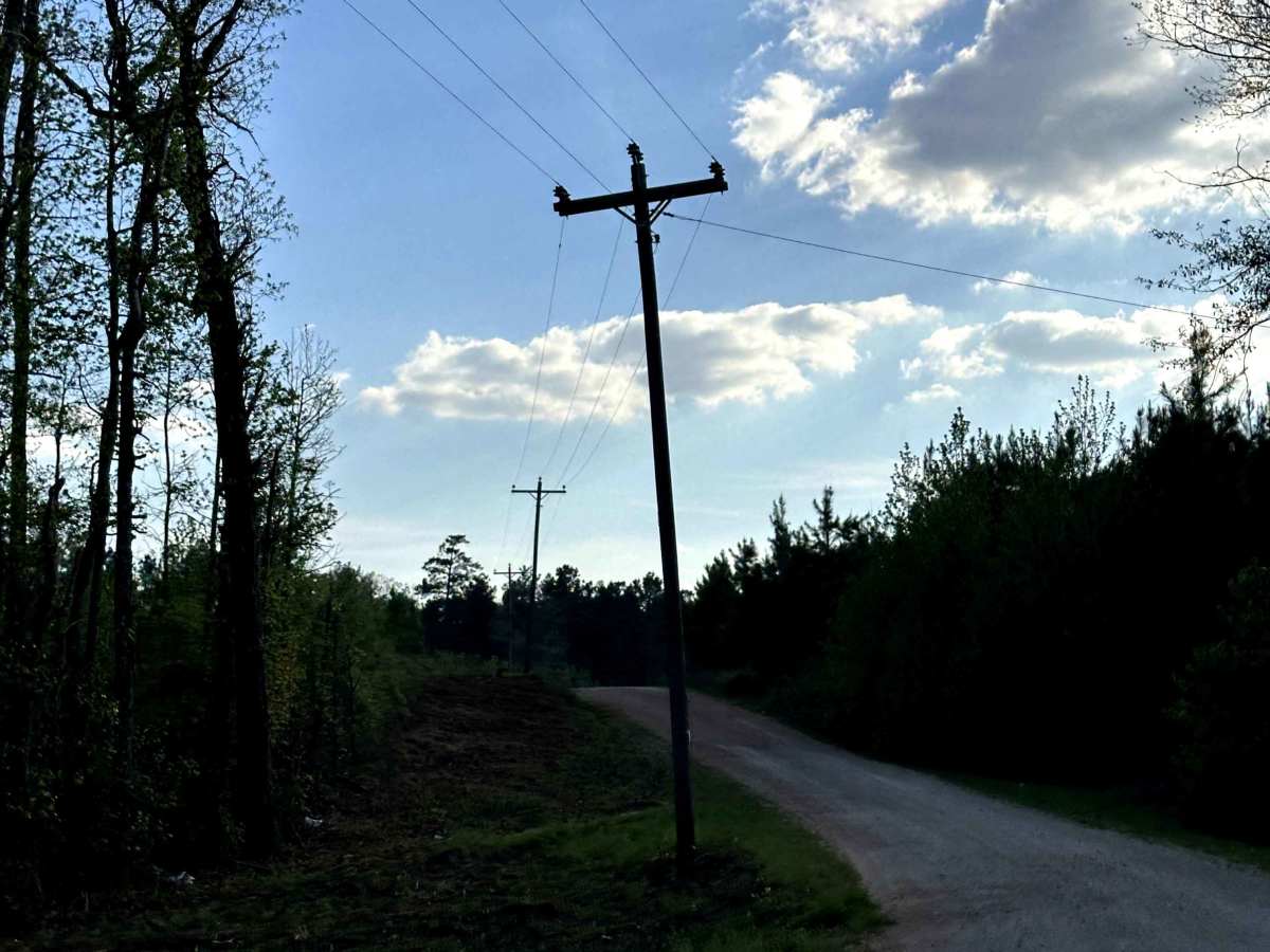 County Road 2729 photo 6