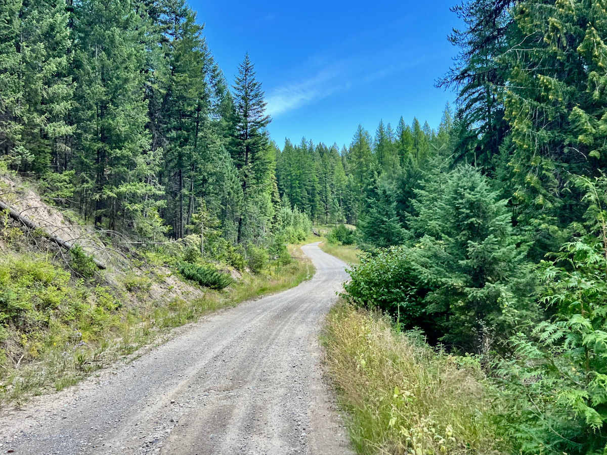 Meadow Creek Road trail photo