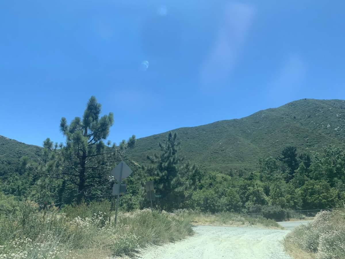 Sheep Canyon photo 5