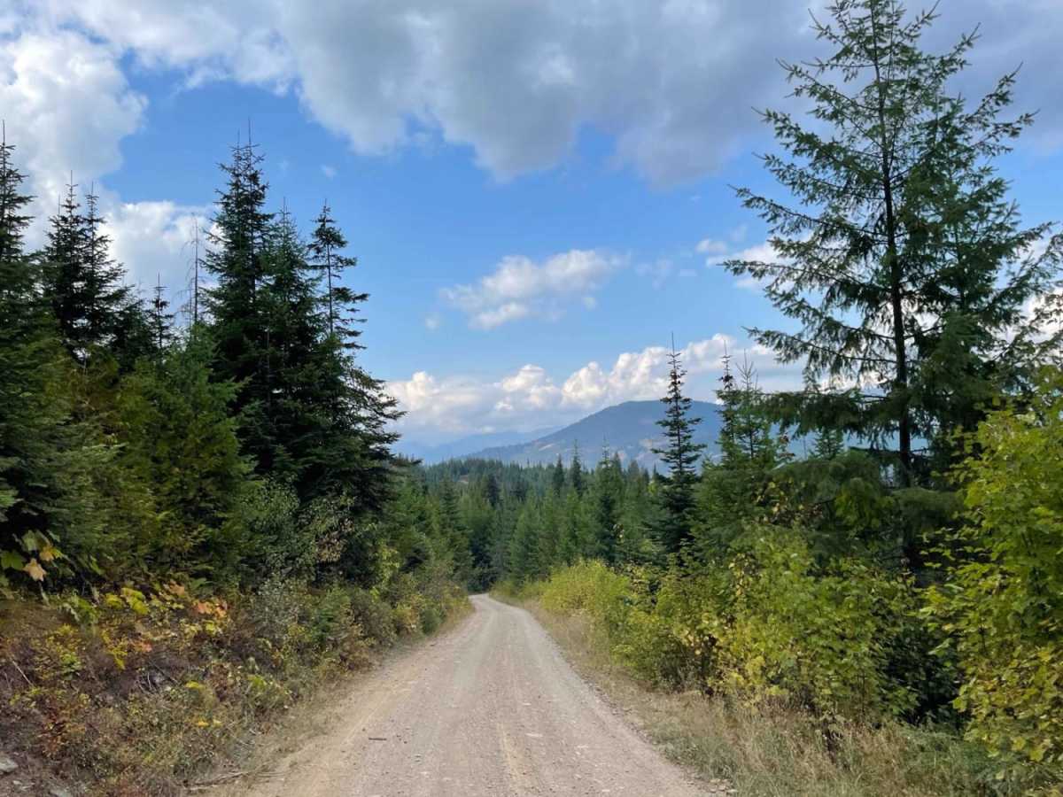 Twin Creek trail photo