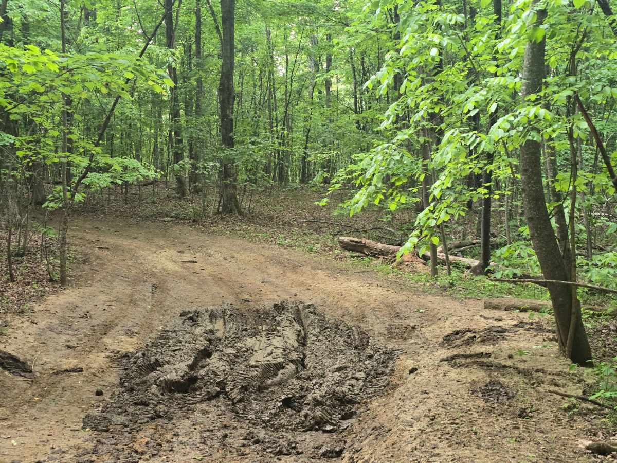 Trail 1B trail photo