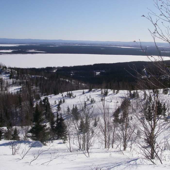 Near Snowshoe Trail D6 - Upper View