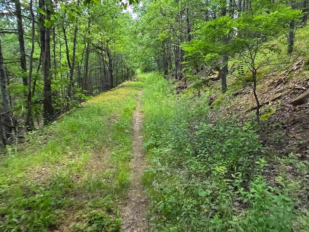 Single Track AB photo 3