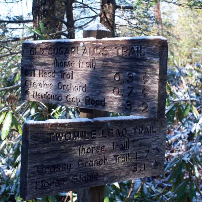 Near Two Mile Lead Concession Horse Trail