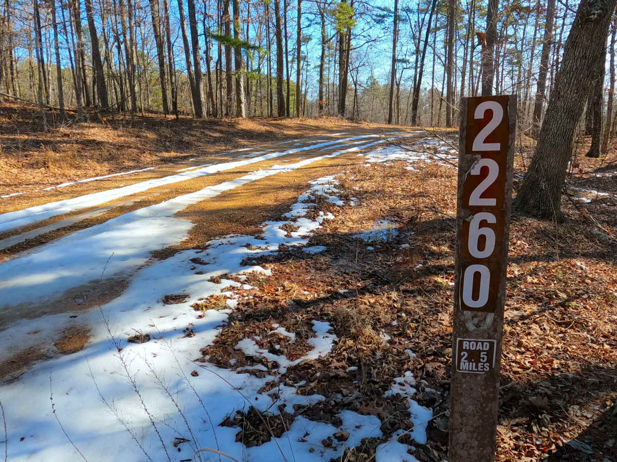 Upper Henderson - FS 2260 trail photo