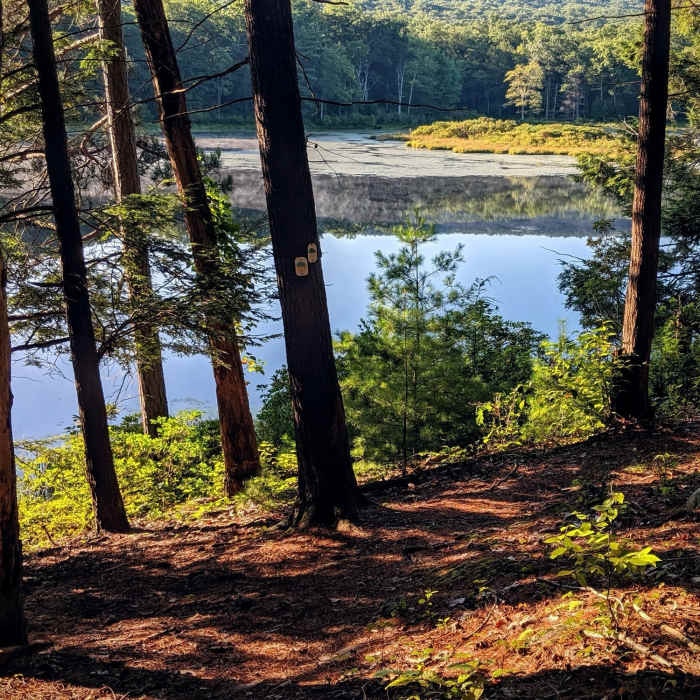 Near Stony Brook Trail
