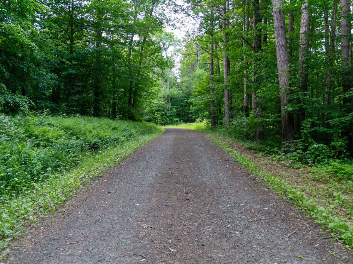 Truck Trail 6 photo 2