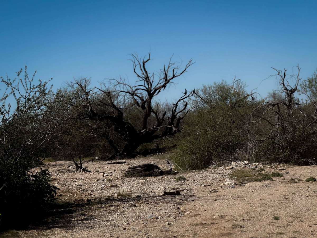 Bogard Wash  trail photo