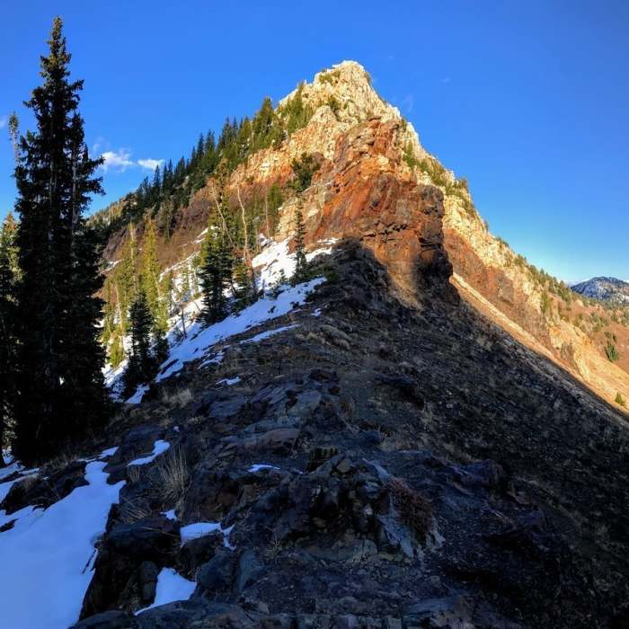 Near Mt. Superior Trail