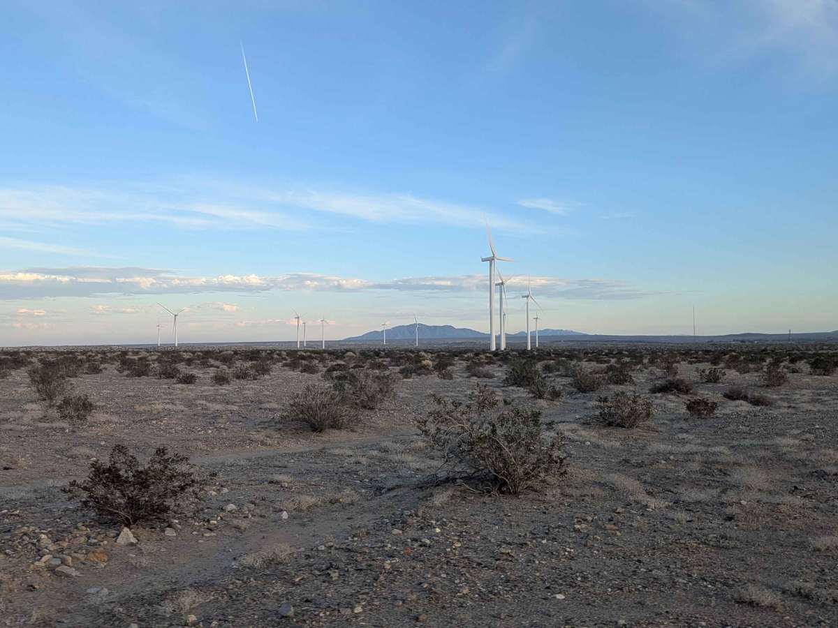 BLM 139 photo 2