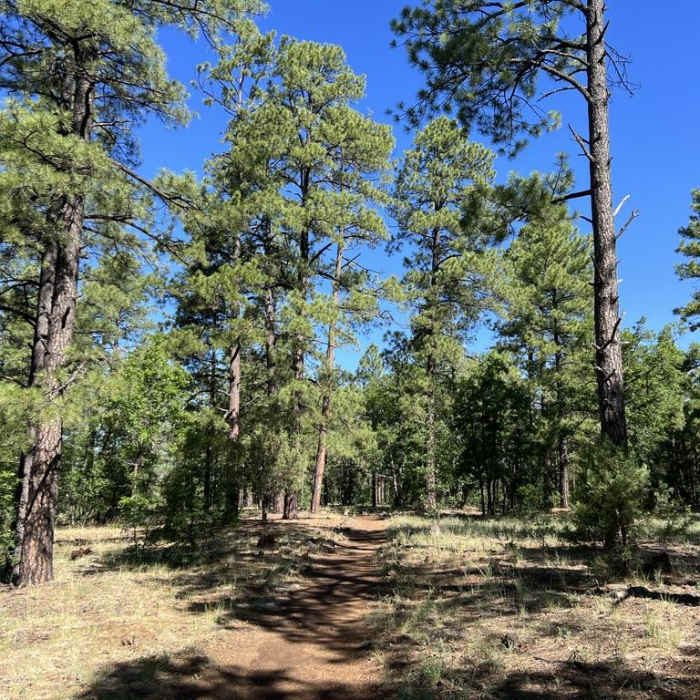 Near Woodland Outerloop Near Woodland Outerloop