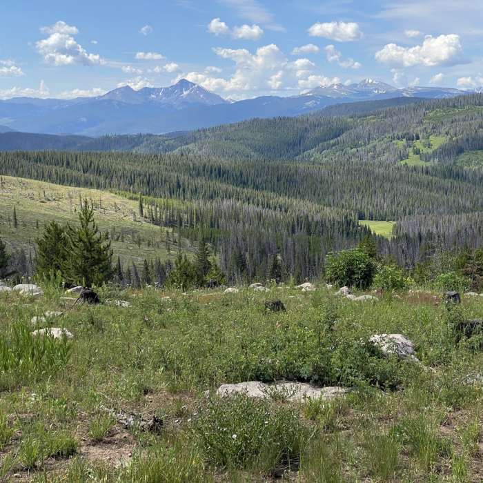 Views of Mt of the Holy Cross Near Lost Lake Trail