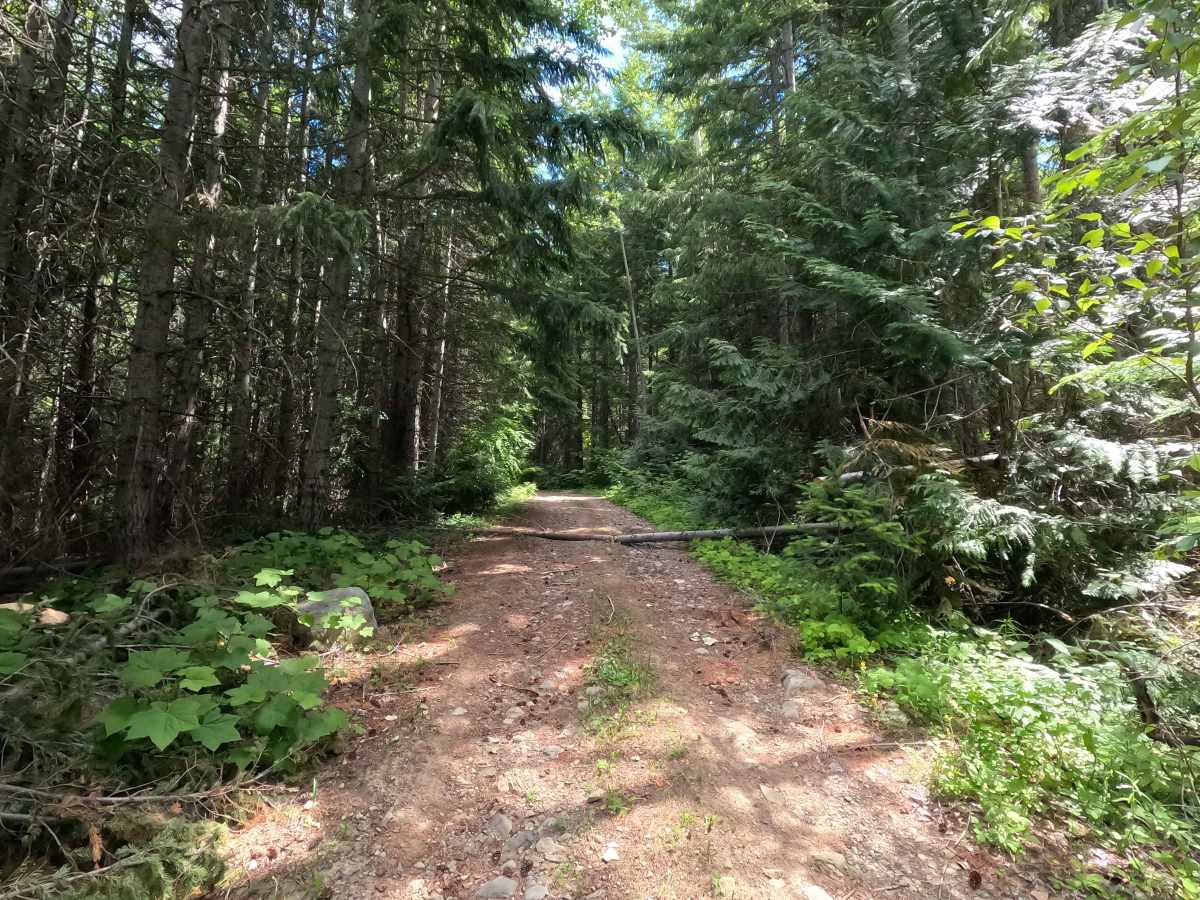Howson Creek - FS 4300128 photo 6