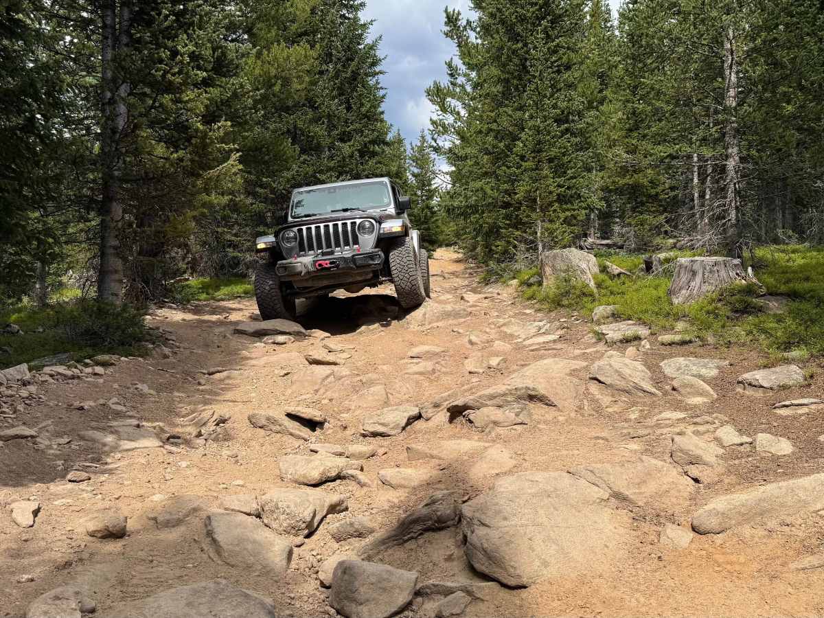 Nunn Creek Cutoff Road trail photo