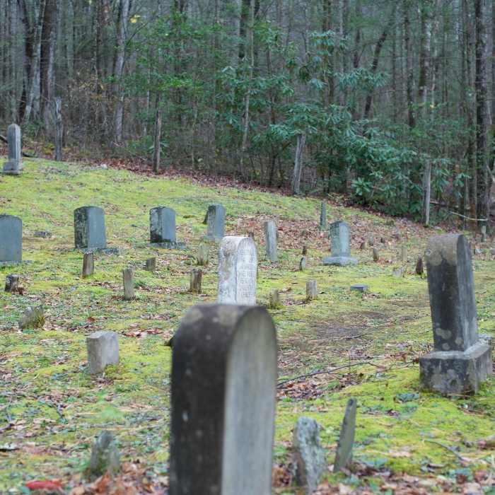 Near Grapeyard Ridge Trail