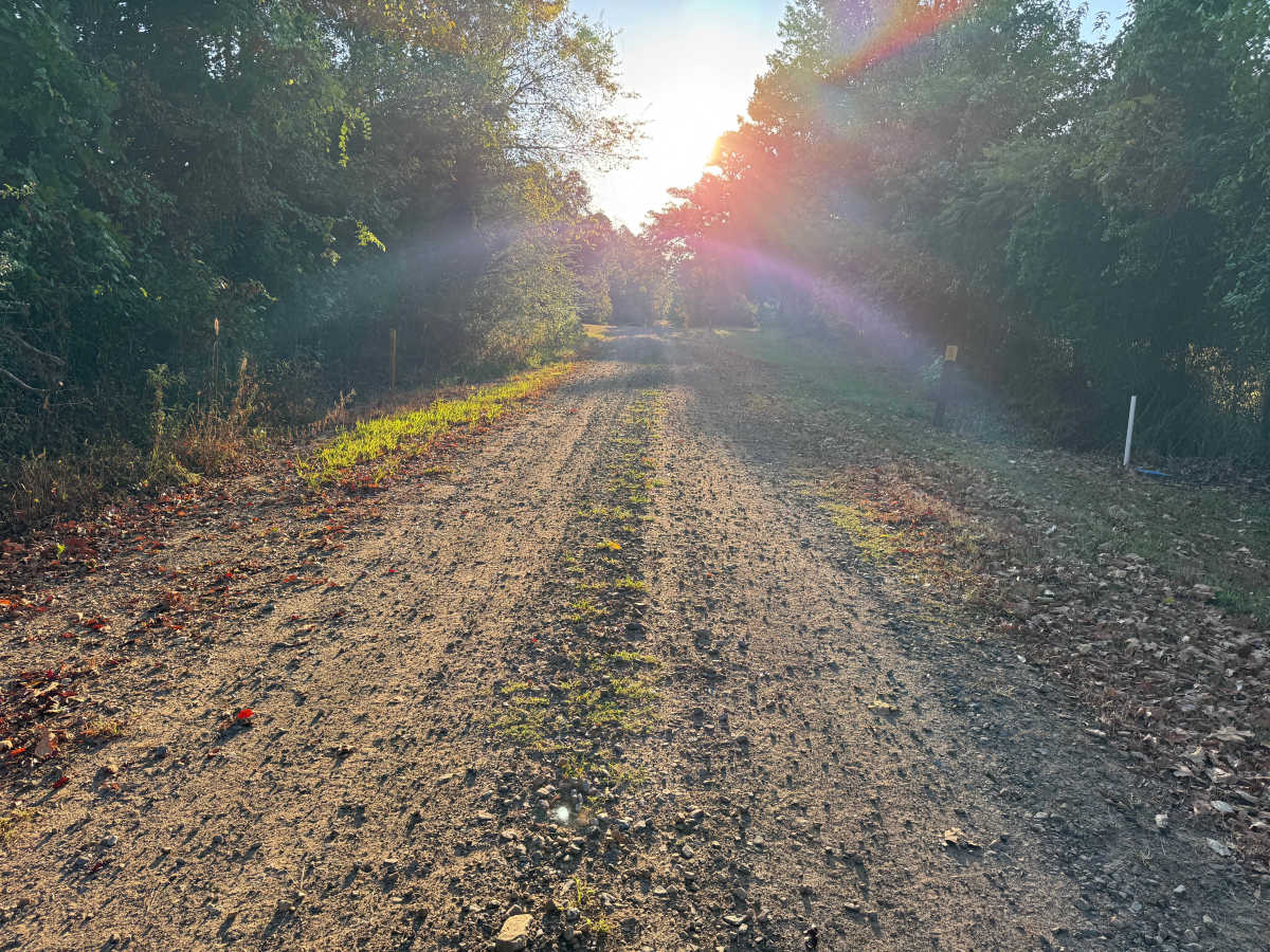 Corley Loop photo 5