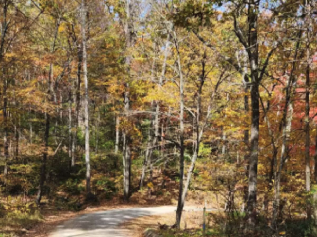 Little Irish Road - FS 311 photo 3