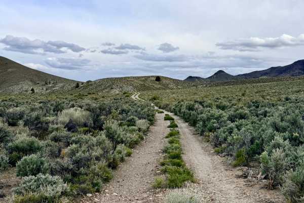 Barrel Spring Dry Canyon - FS 44451