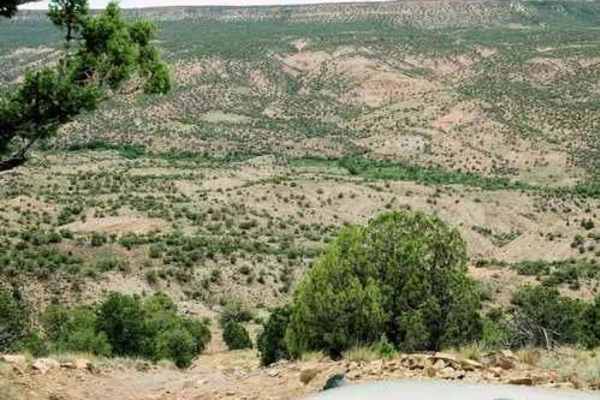 Rim Road