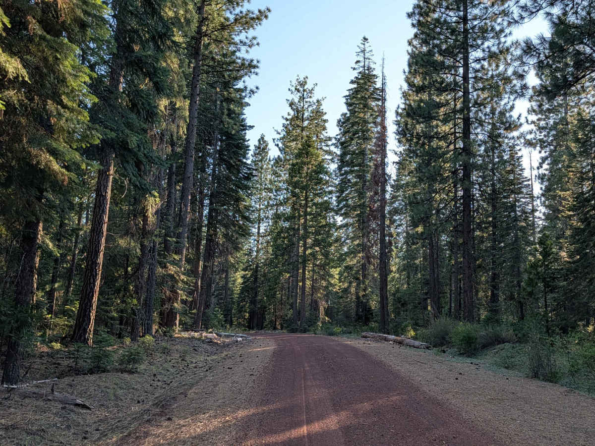 Porcupine Butte North - FS 41N36 photo 6
