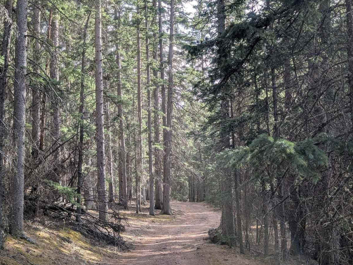 Gould Creek Road photo 4