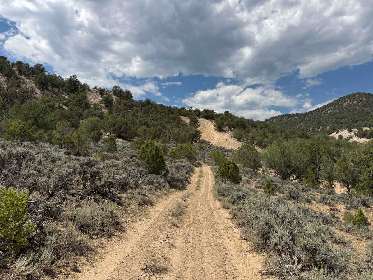 BLM 8457B photo 5