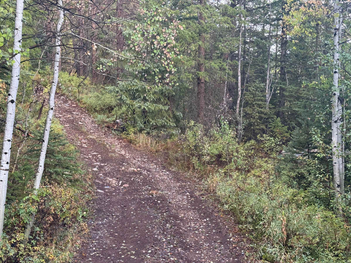 Little Deadman Road trail photo