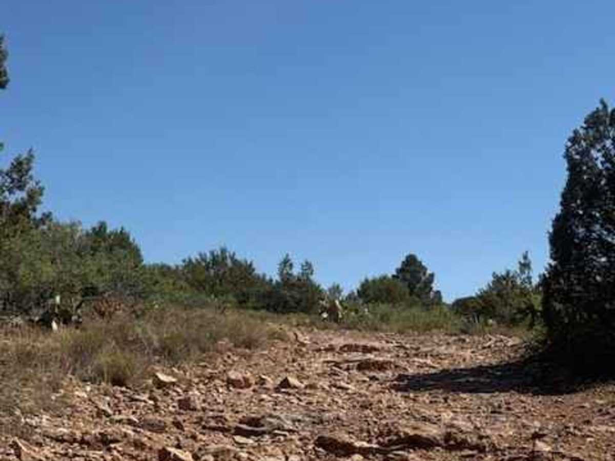 67 White Mountain Road photo 5