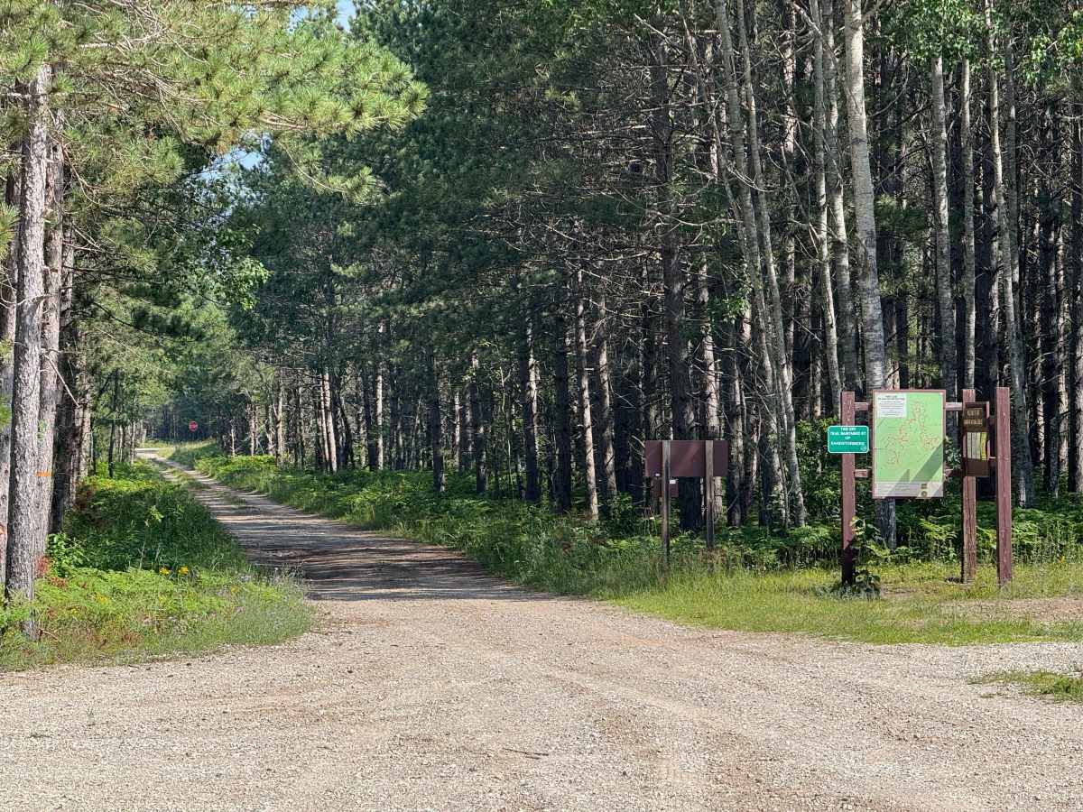 Moss Lake Motorcycle Trail photo 3