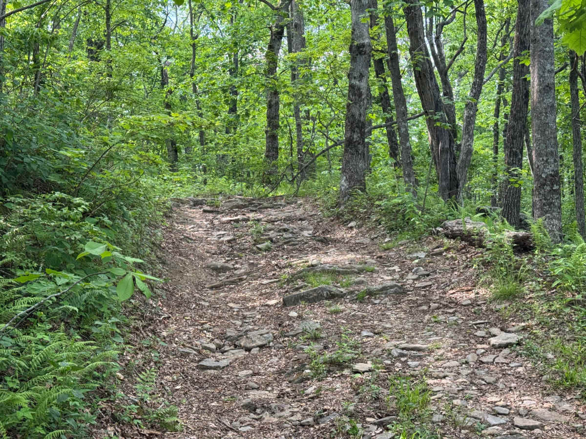 Hawk Mountain - FS 42A photo 5