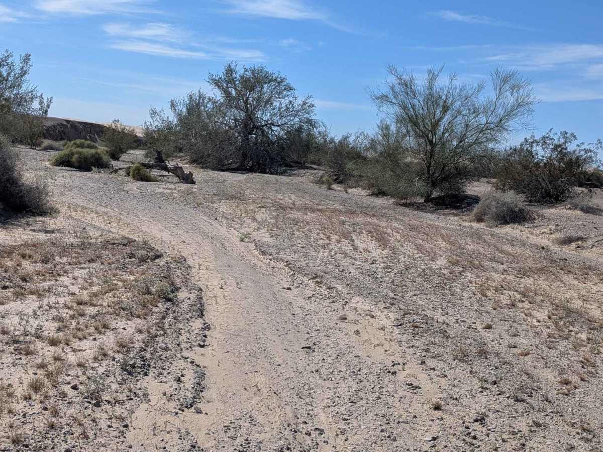 BLM 758 photo 6
