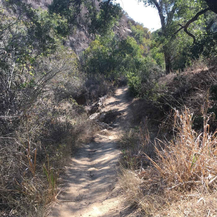 Near Stagecoach South Intermediate Loop