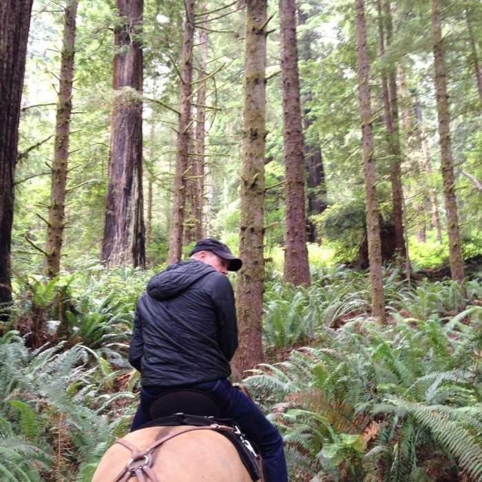 Near Orick Horse Trail