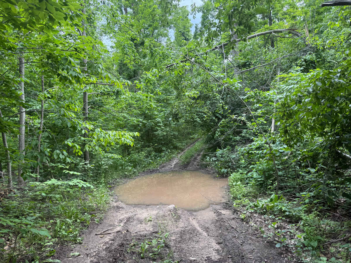 Cedar Run photo 2