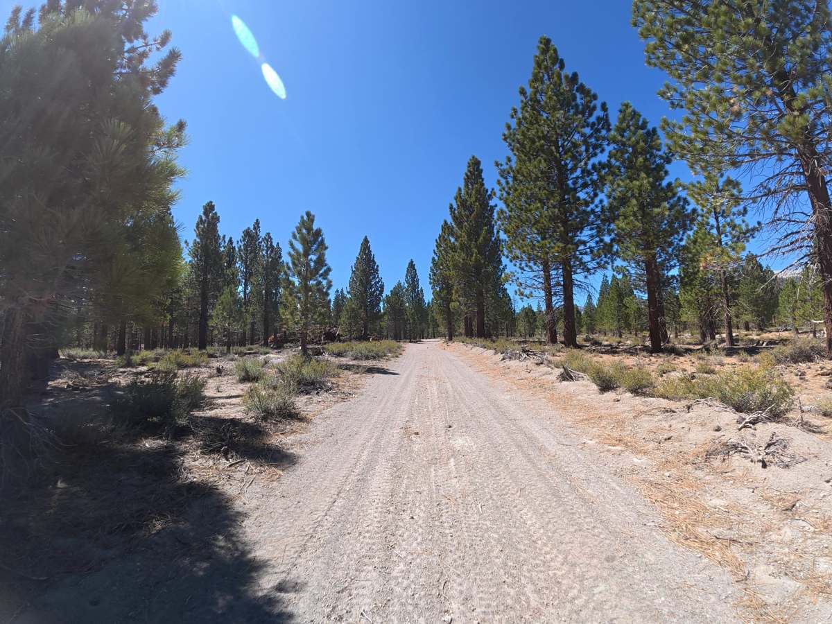 FS 2S109 trail photo