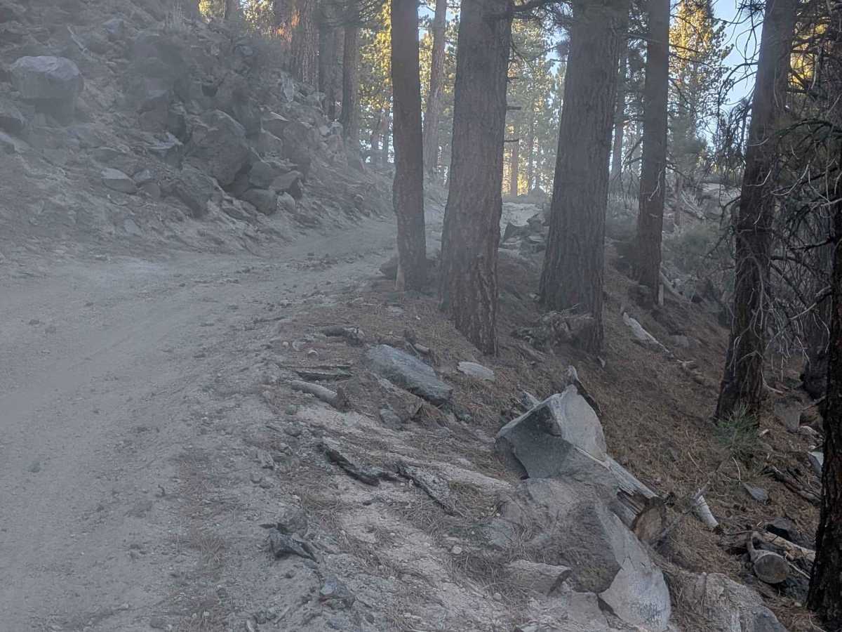 Deadman Loop FS2S25 photo 2