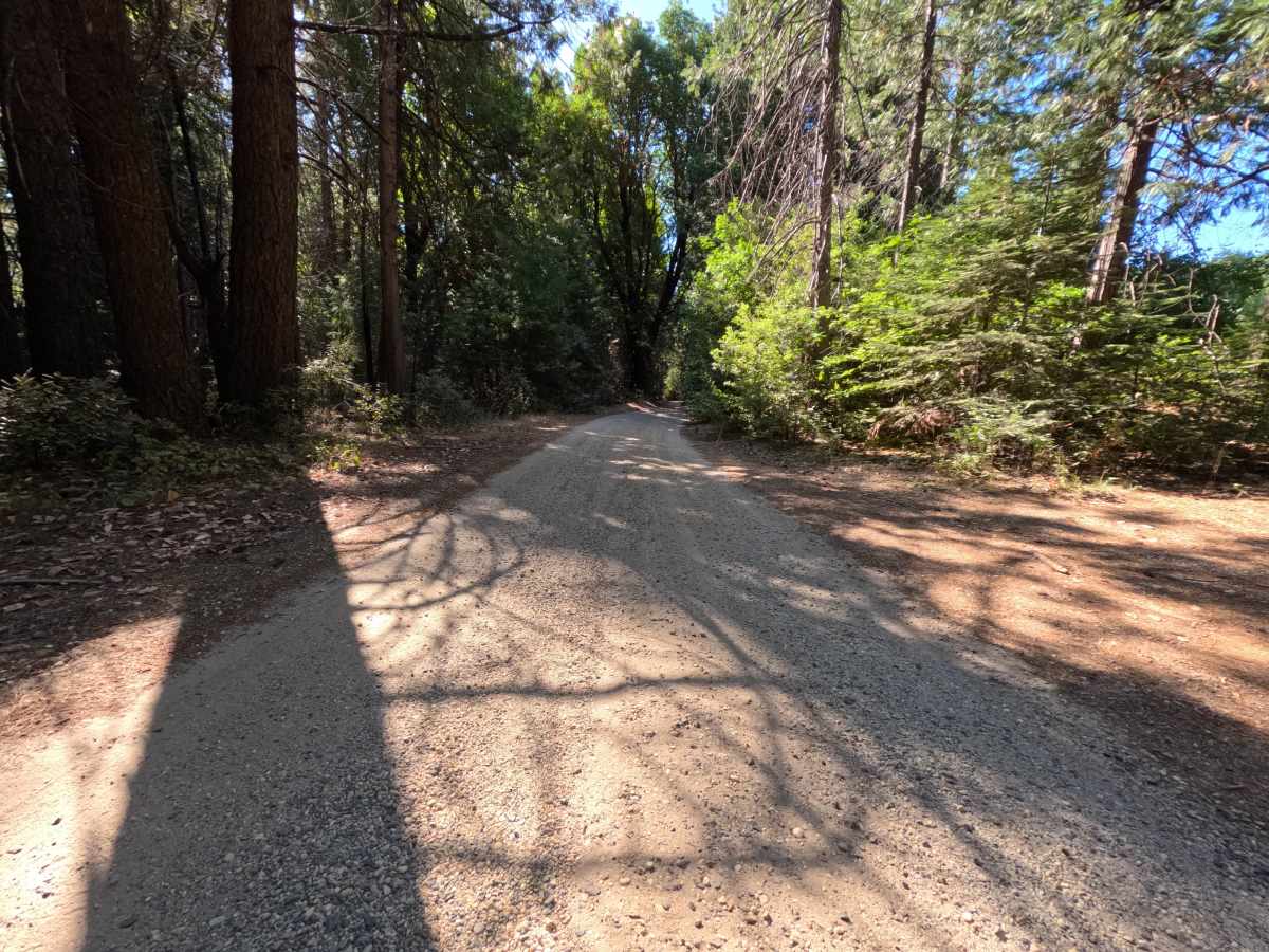 Bear Trap Springs Road - FS 69 photo 6